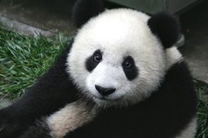 Peut-on changer véritablement ?