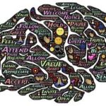 Intelligence : le niveau d’étude ne fait pas tout