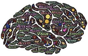 Intelligence : le niveau d’étude ne fait pas tout