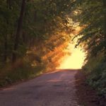 Le bonheur, une quête censée ?