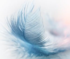 Plus de légèreté pour être moins stressé
