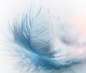 Plus de légèreté pour être moins stressé