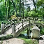 Paix vs Bonheur : quelle est votre priorité ?