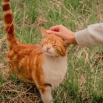 Un don que tout le monde peut faire (et qui est gratuit)