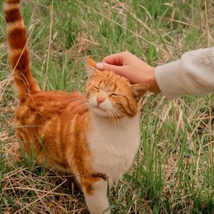 Un don que tout le monde peut faire (et qui est gratuit)